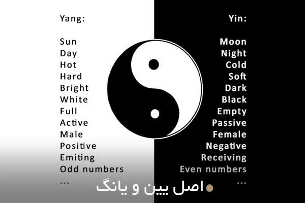 اصل یین و یانگ